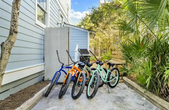 10 web or mls DSC06916