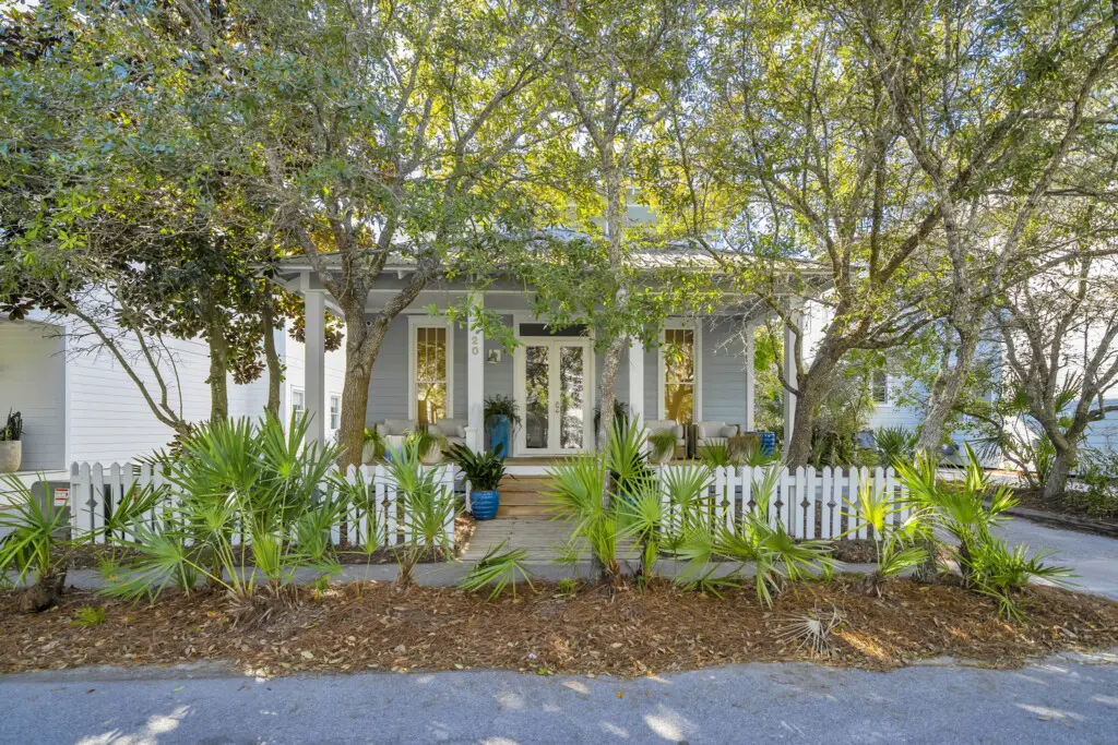 3 web or mls DSC06909