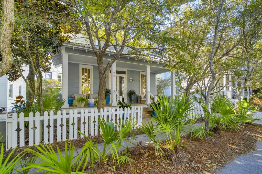 4 web or mls DSC06910